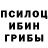 Псилоцибиновые грибы Cubensis Svitlana Anikina