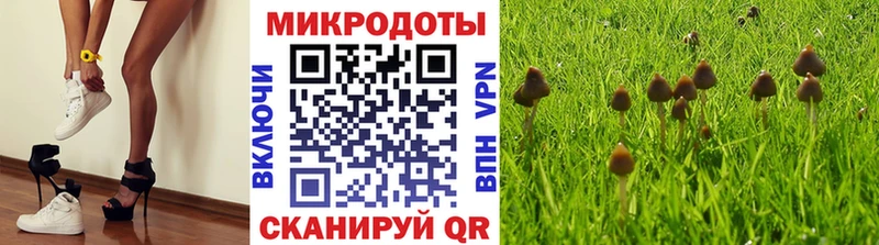 Галлюциногенные грибы мухоморы  гидра онион  Всеволожск  закладка 